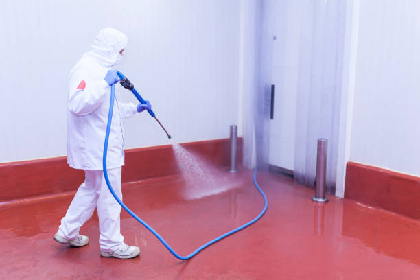 Best Graffiti Removal  in Norton, VA